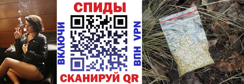 дарнет шоп  Дубна  БУТИРАТ буратино 