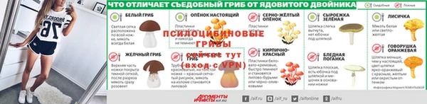 гидропоника Алексин