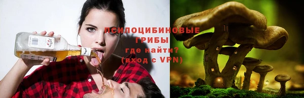 соль ск Абинск