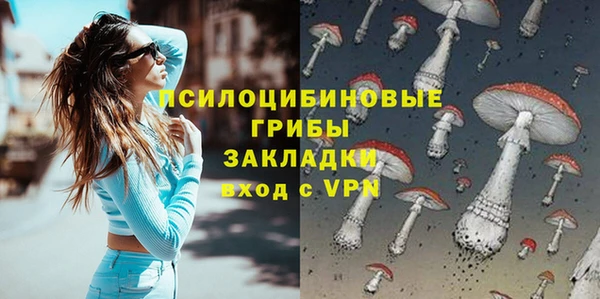 спиды Алзамай