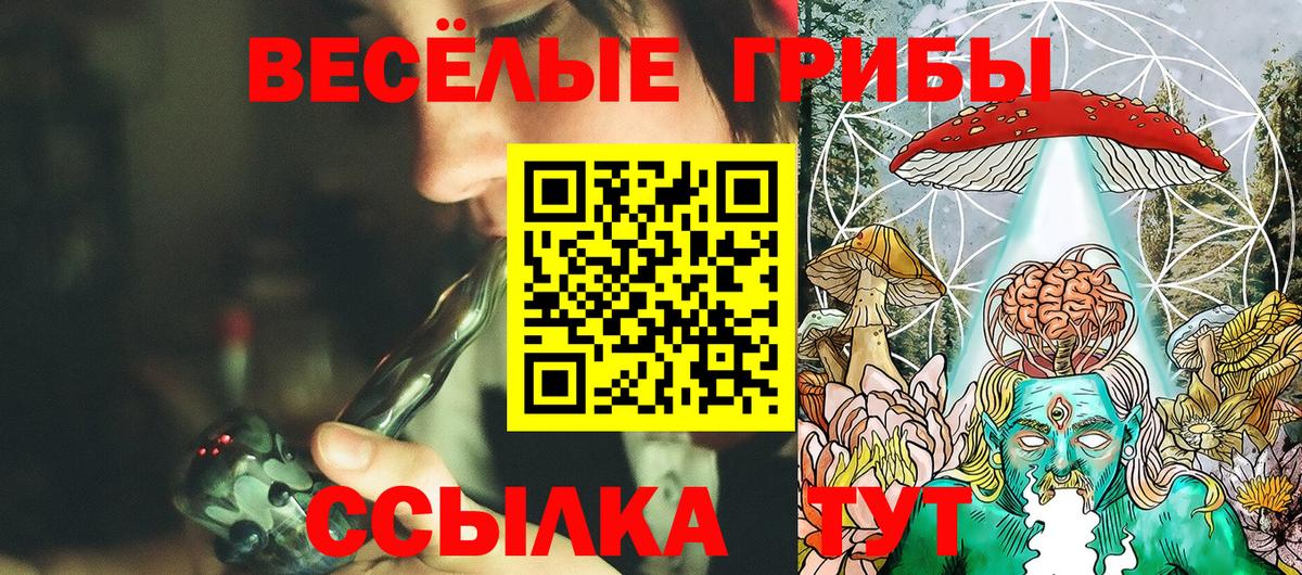 Псилоцибиновые грибы Psilocybe  Вход с VPN  Дубна  Галлюциногенные грибы прущие грибы 